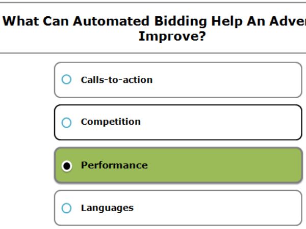 What Can Automated Bidding Help An Advertiser Improve?